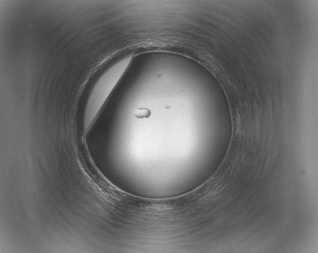 X0000056020444200508190924