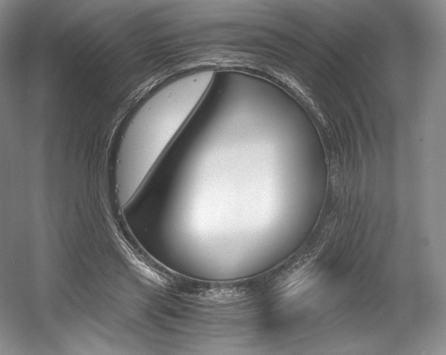 X0000056020445200508190924