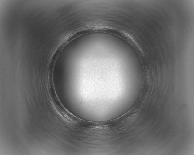 X0000056020447200508190924