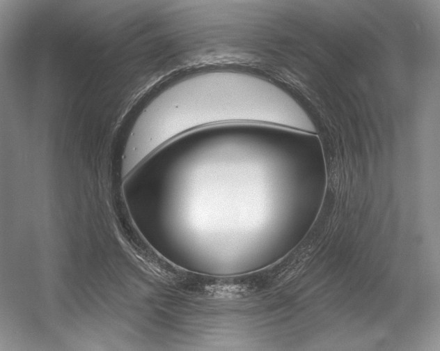 X0000056020448200508190924