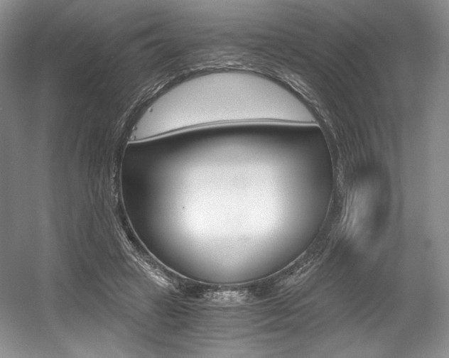 X0000056020449200508190924