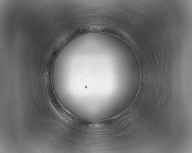 X0000056020451200508190924