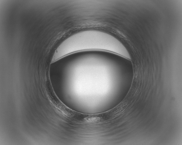 X0000056020452200508190924