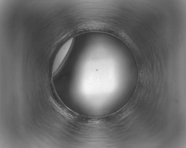 X0000056020454200508190924