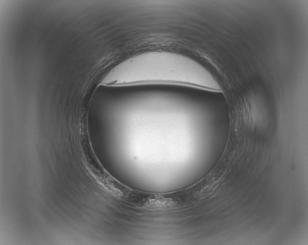X0000056020455200508190924