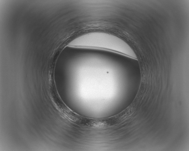 X0000056020456200508190924