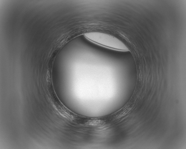 X0000056020459200508190924