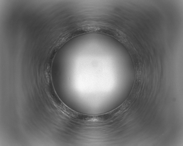 X0000056020460200508190925