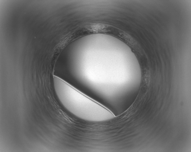 X0000056020461200508190925