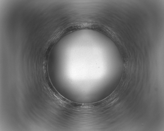 X0000056020462200508190925