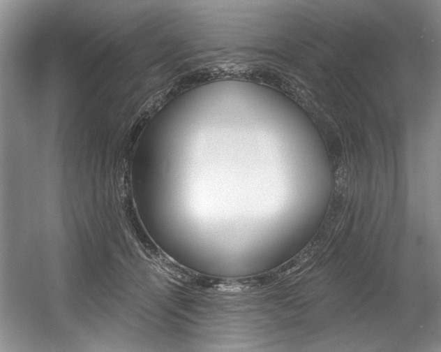 X0000056020464200508190925