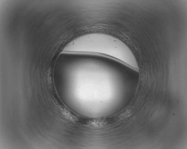 X0000056020466200508190925
