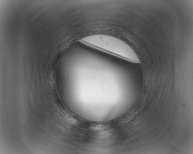 X0000056020467200508190925