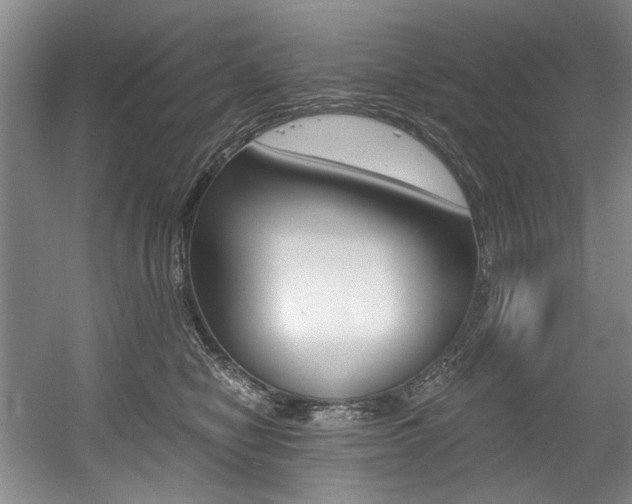 X0000056020470200508190925
