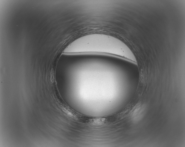 X0000056020474200508190925