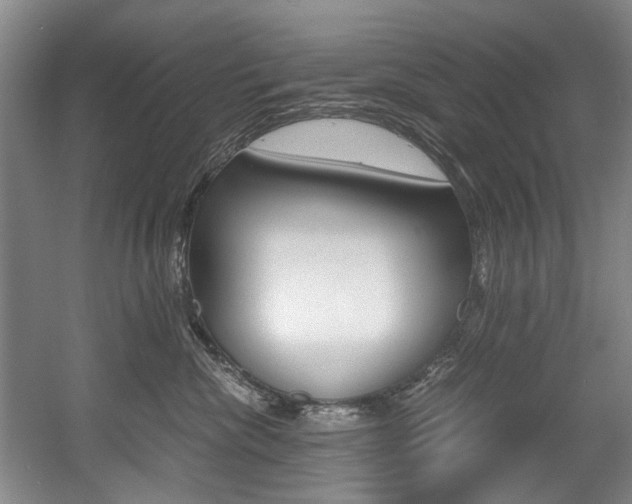 X0000056020476200508190925