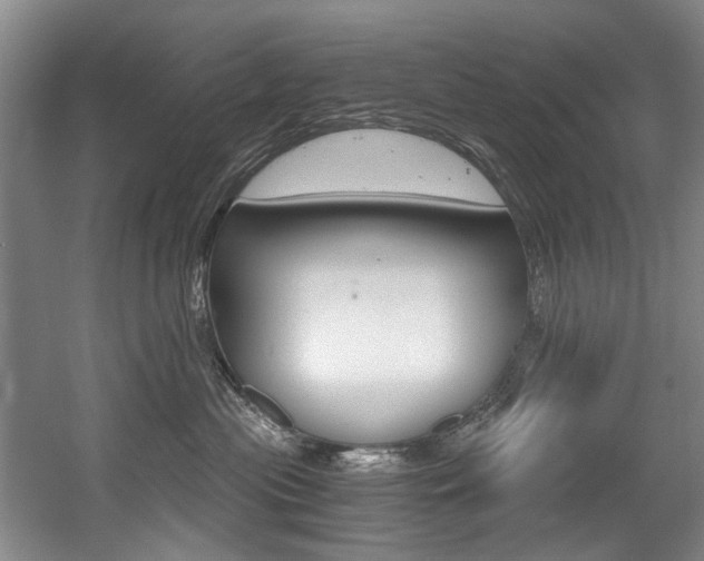 X0000056020477200508190925