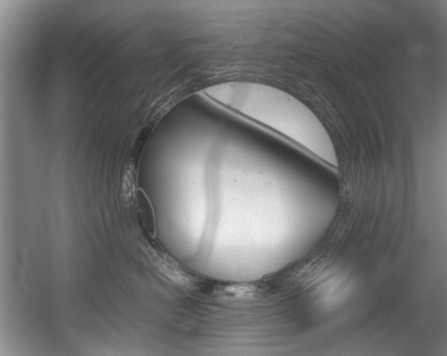 X0000056020478200508190925