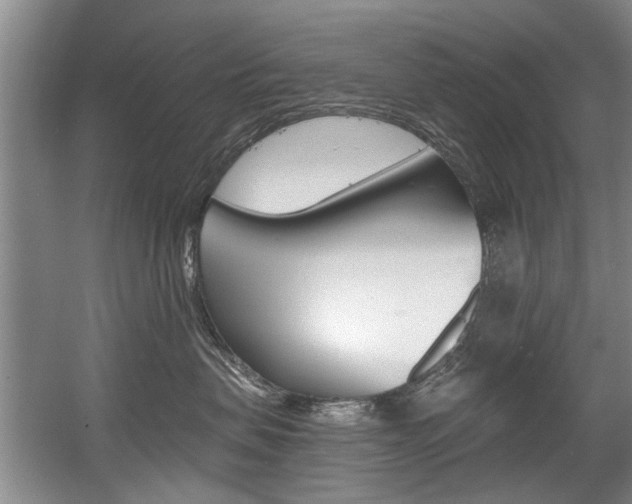 X0000056020479200508190925
