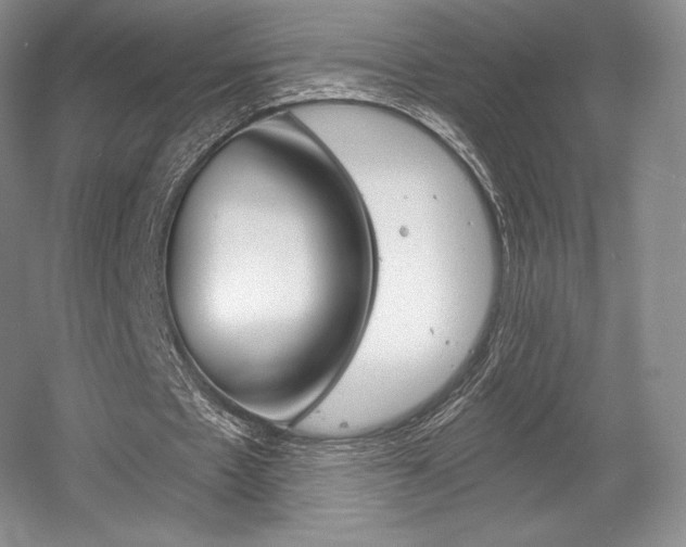X0000056020481200508190924