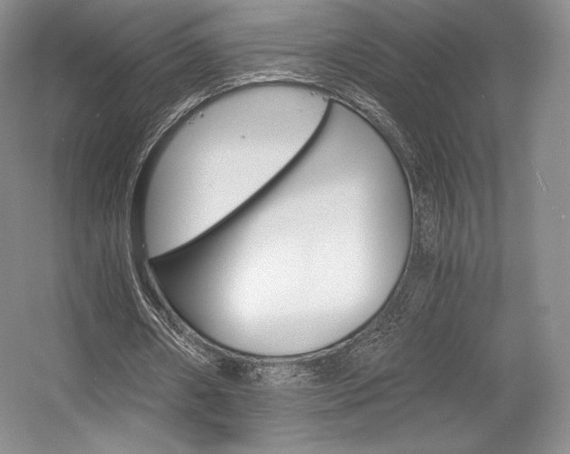 X0000056020482200508190924