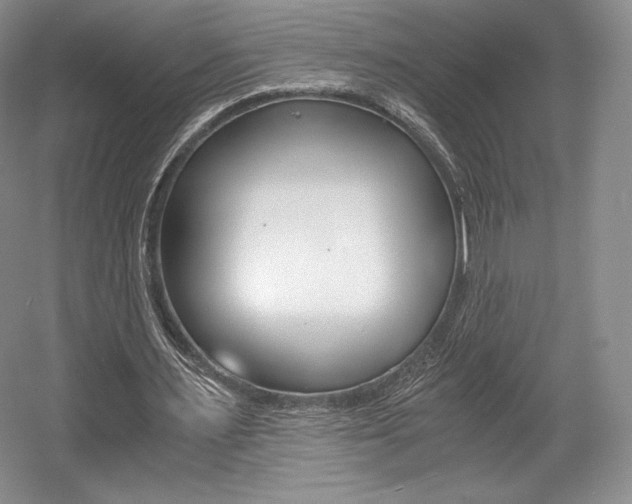 X0000056020483200508190924