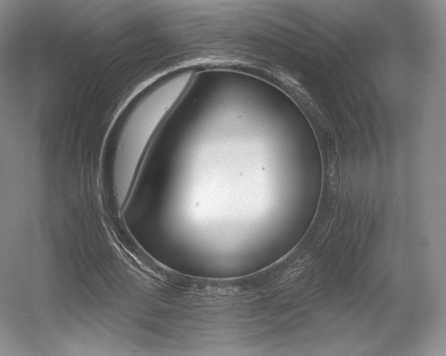 X0000056020484200508190924