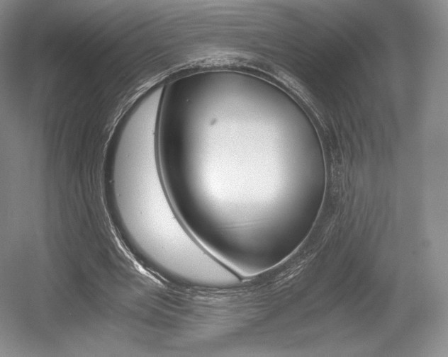 X0000056020485200508190924