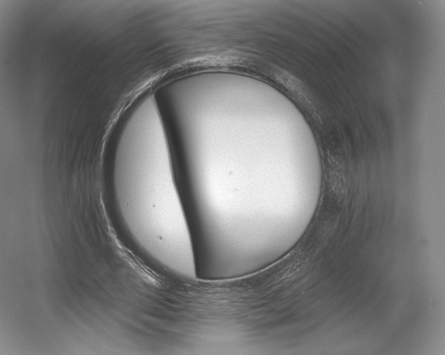 X0000056020486200508190924