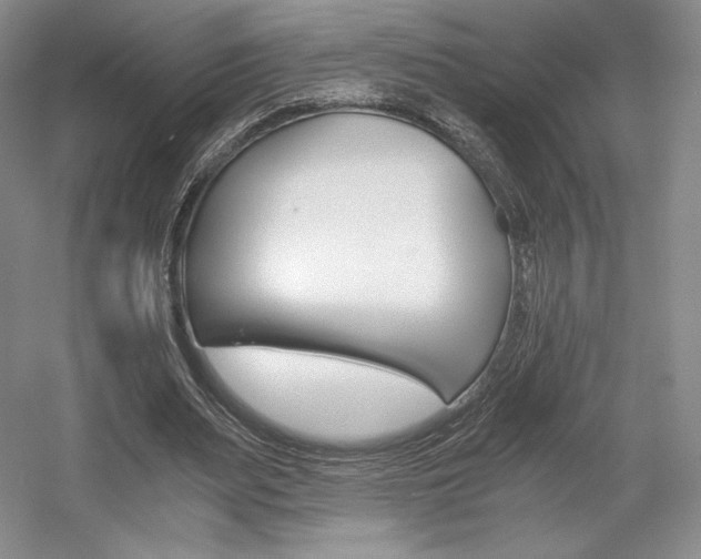 X0000056020487200508190924