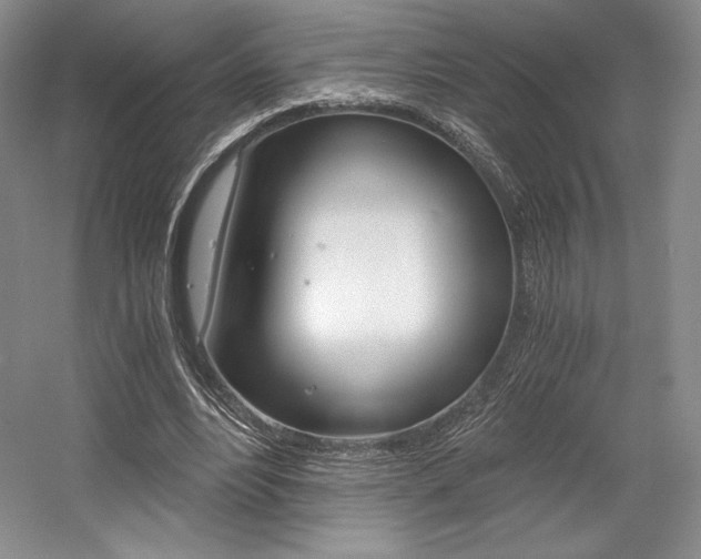 X0000056020488200508190924