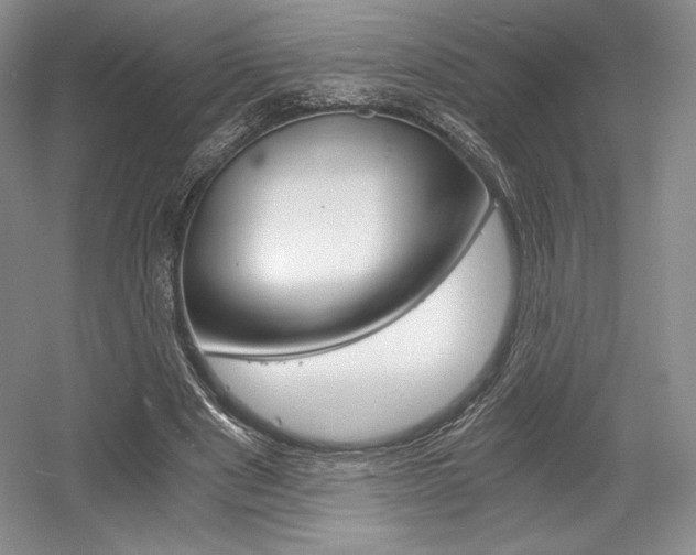 X0000056020489200508190924