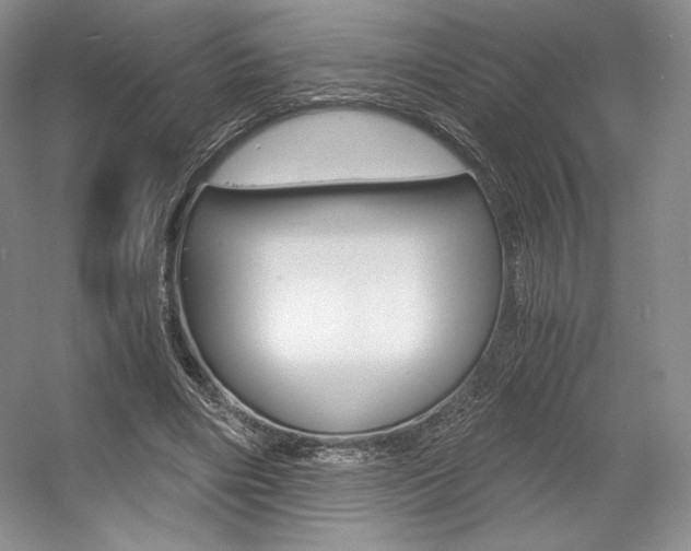 X0000056020490200508190924