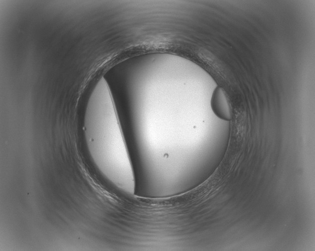 X0000056020494200508190924