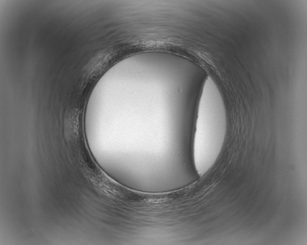X0000056020495200508190924
