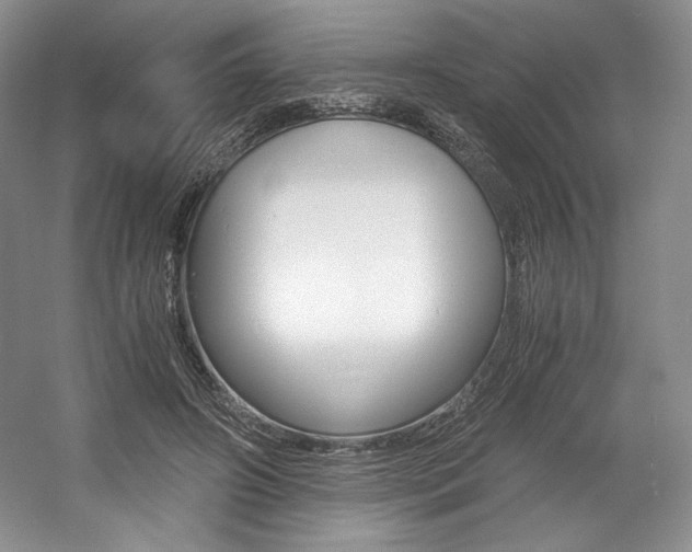X0000056020498200508190924