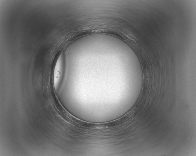 X0000056020499200508190924