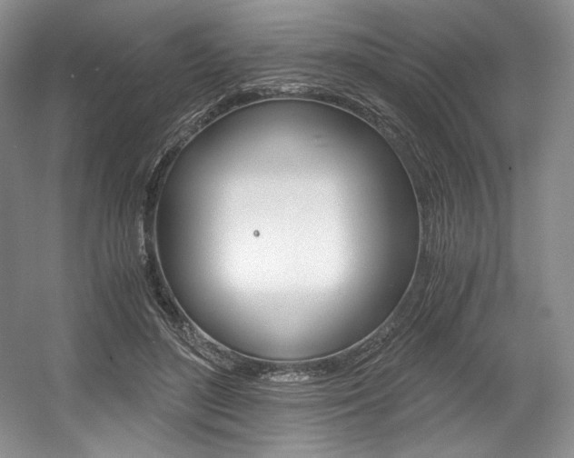 X0000056020500200508190924