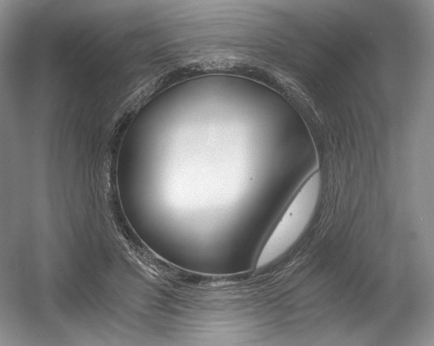 X0000056020501200508190924