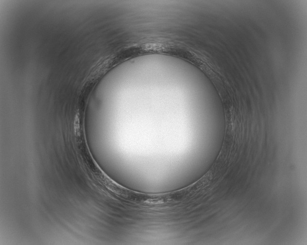X0000056020502200508190924