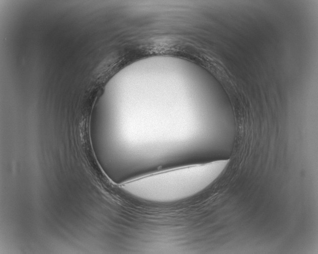 X0000056020503200508190924