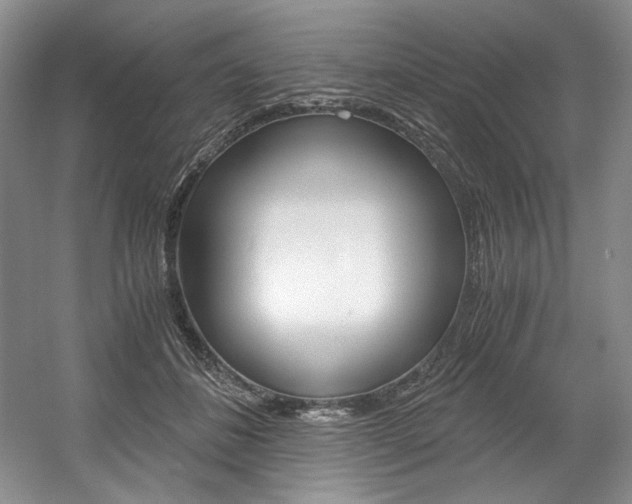 X0000056020508200508190924
