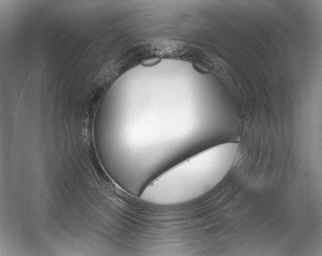 X0000056020510200508190924