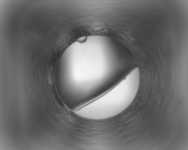 X0000056020515200508190923