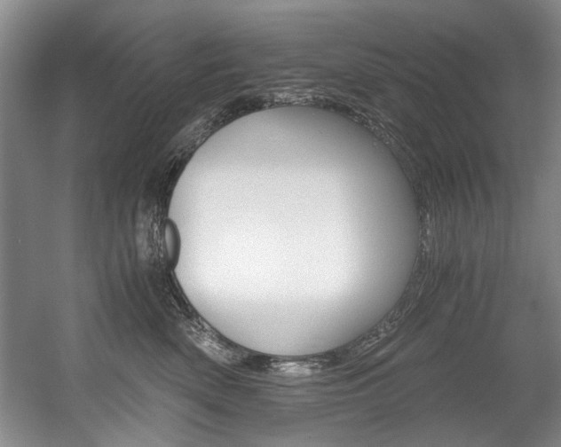 X0000056020522200508190923