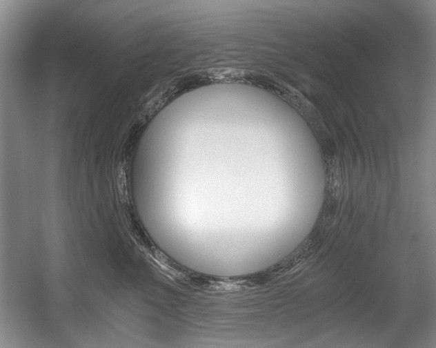 X0000056020523200508190923