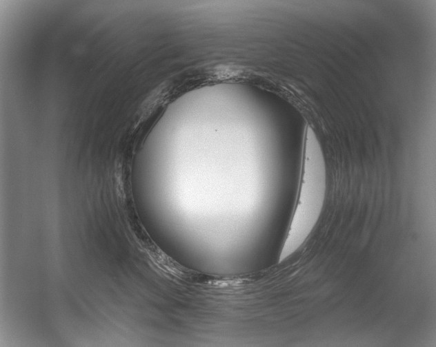 X0000056020524200508190923