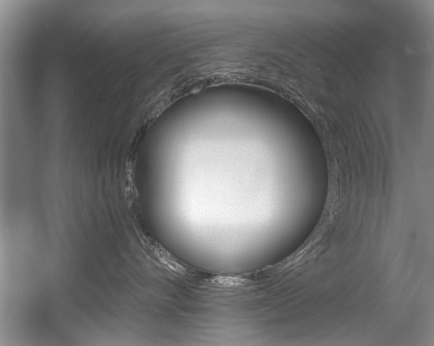 X0000056020528200508190923