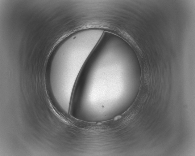X0000056020530200508190922
