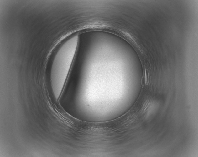 X0000056020531200508190922